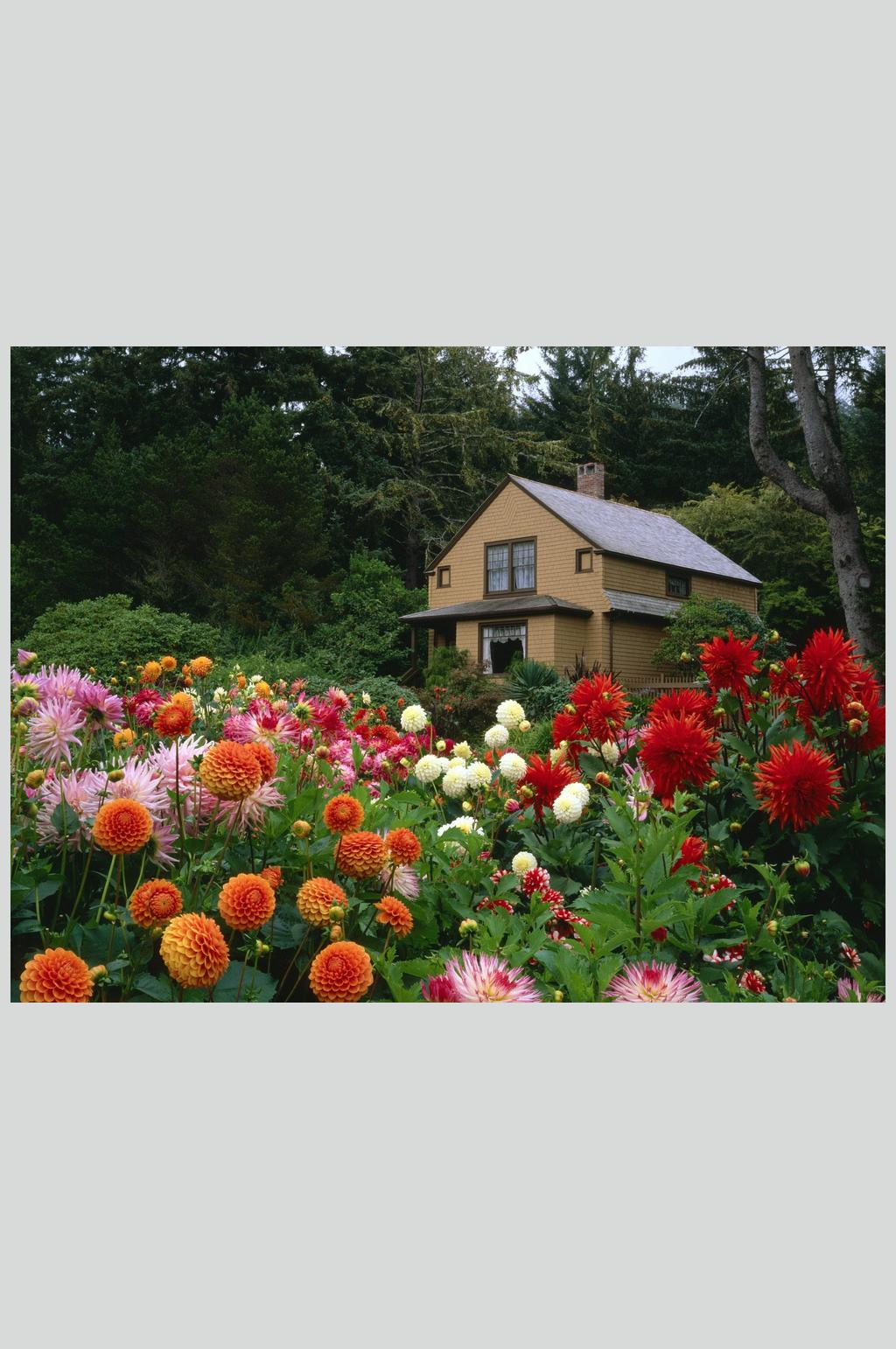 欧洲小屋花卉风景高清壁纸图片