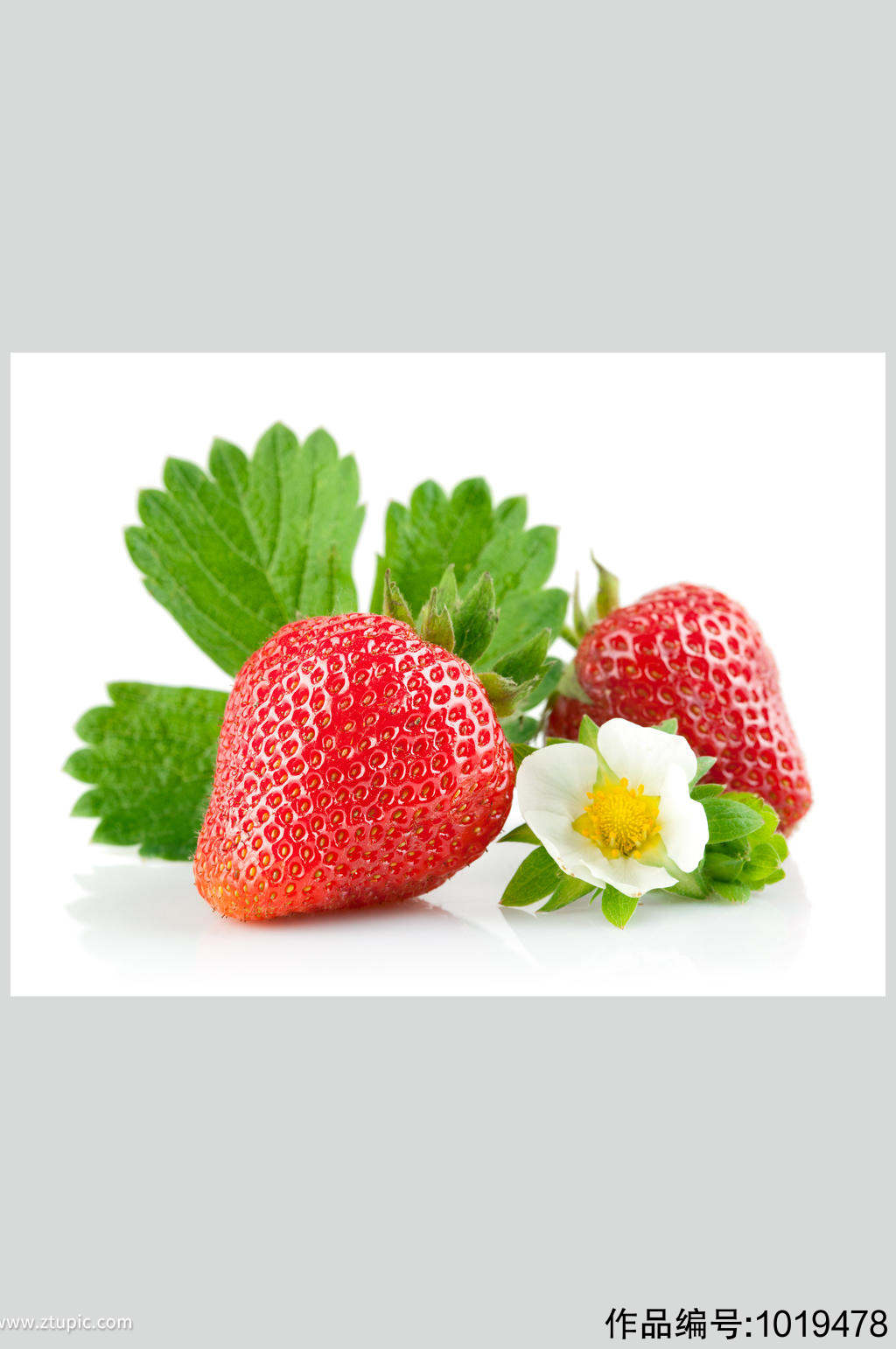 高清水果图片草莓