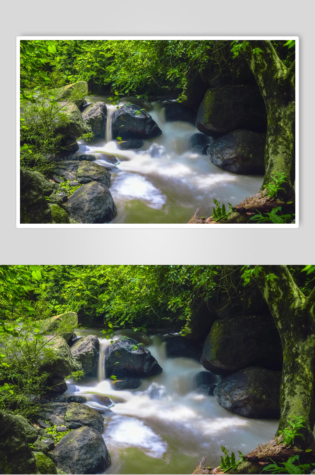 自然风景林间溪流素材