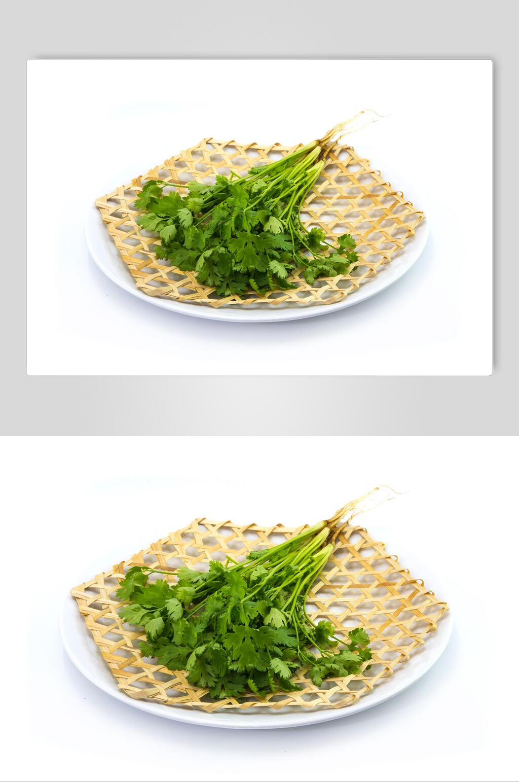 香菜高清图片
