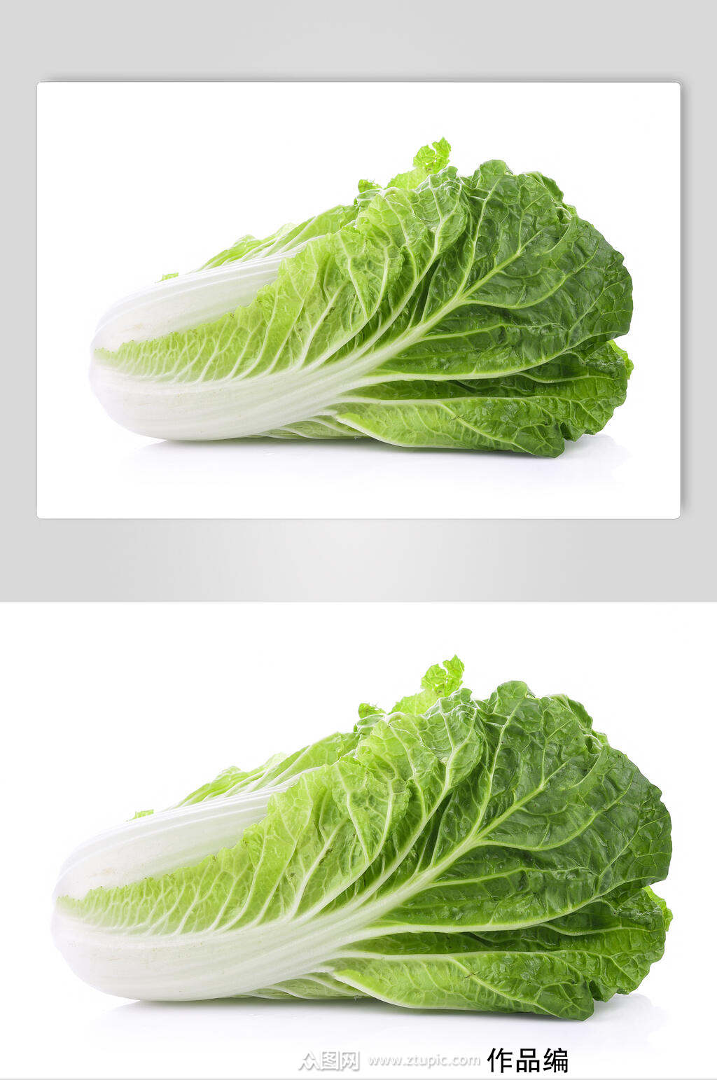大白菜蔬菜图片