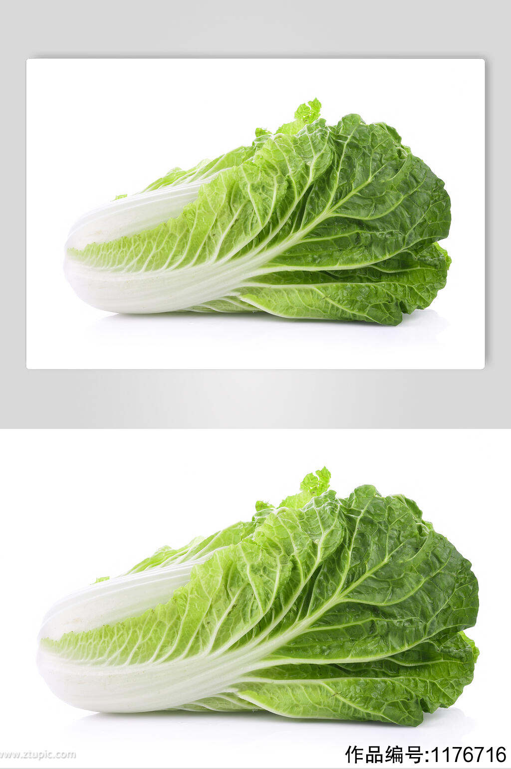 大白菜蔬菜图片