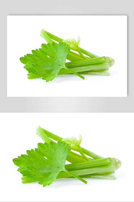 西芹高清美食摄影图片