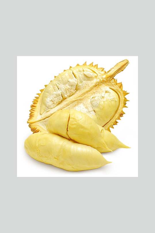 简约金枕榴莲摄影图