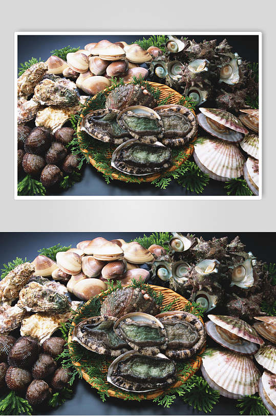 珍珠贝壳海鲜美食图片