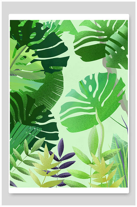 热带植物森林插画背景素材