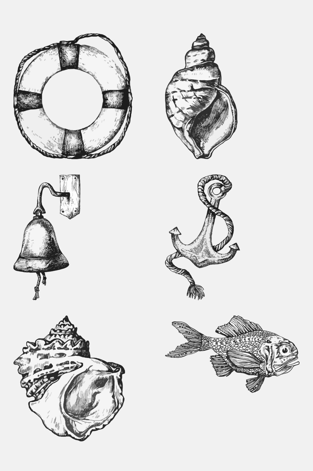 素描海螺锚海洋生物手绘元素素材