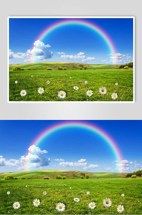 美丽彩虹草地天空风景图片