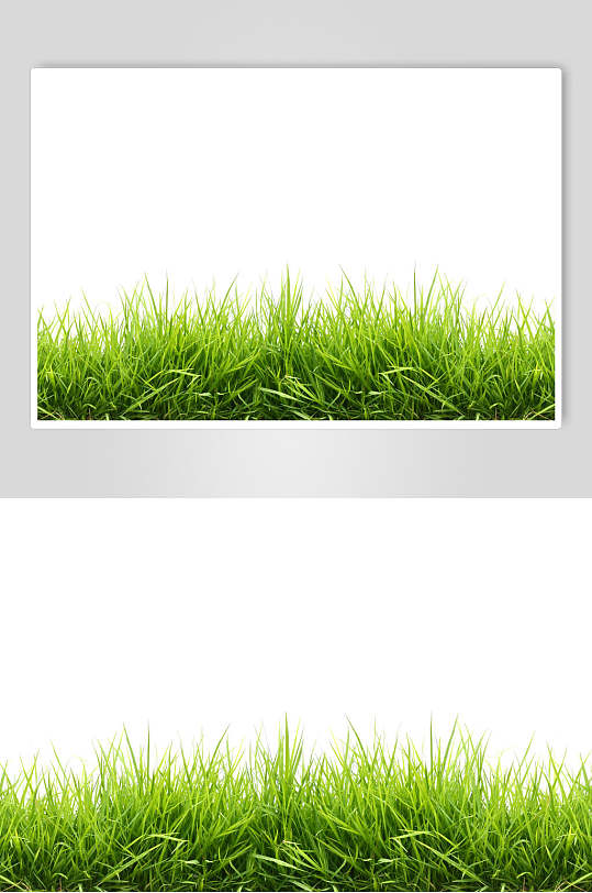 白底草地草坪图片