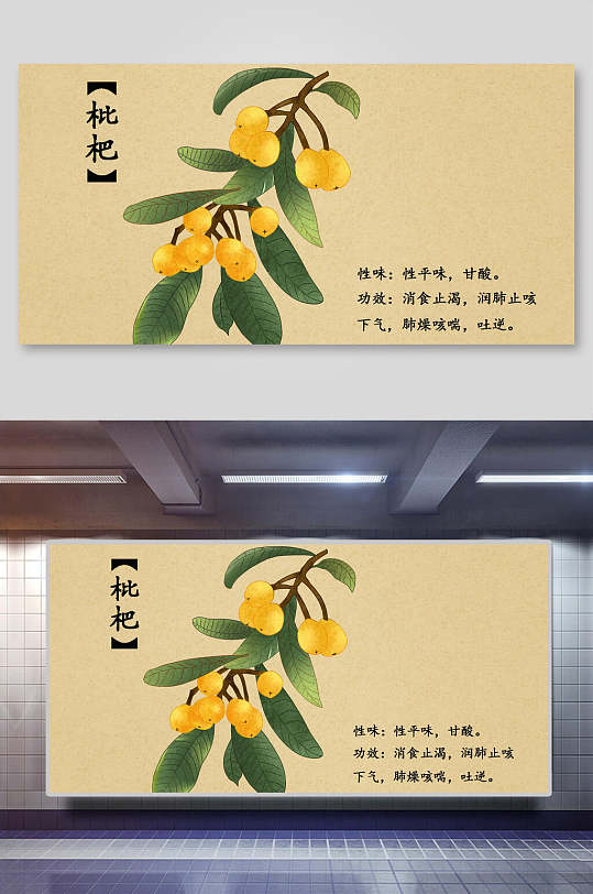 枇杷本草纲目中草药介绍展板