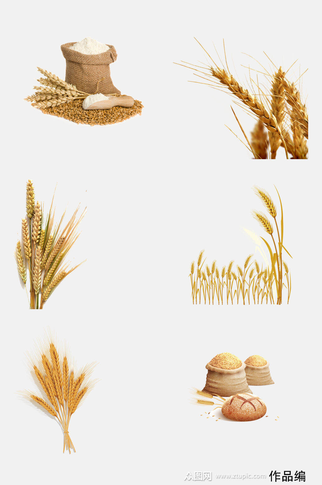 小麦粮食稻谷水稻免抠元素素材