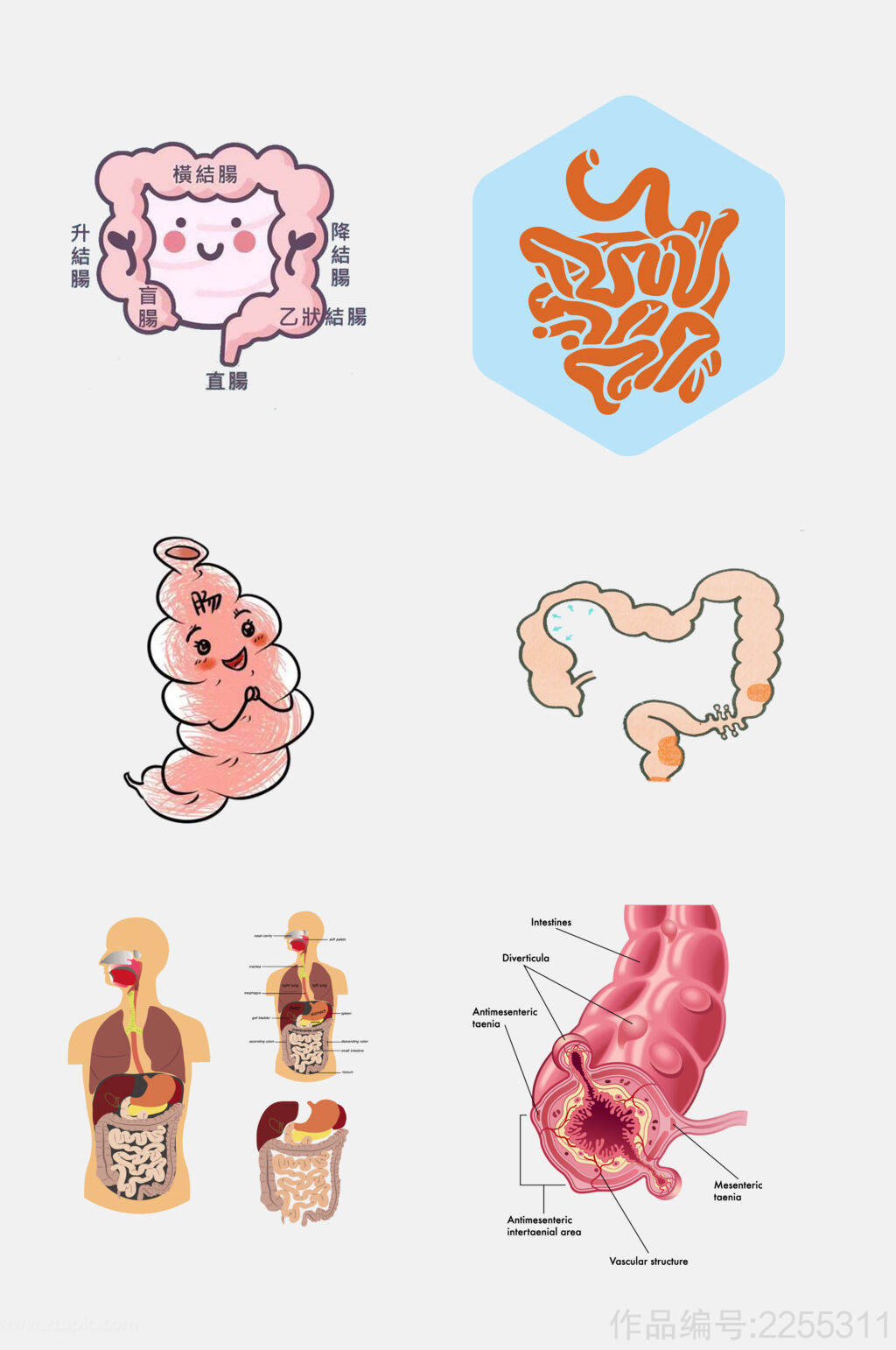 卡通医学肠道消化系统免抠素材