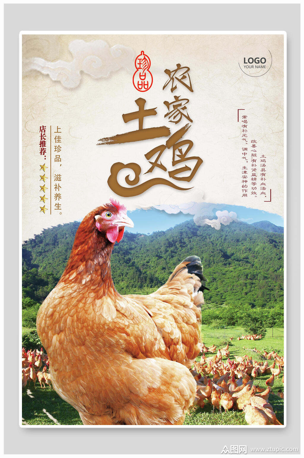 视觉美观的清新农家土鸡美食海报素材下载,本次作品主题是平面广告