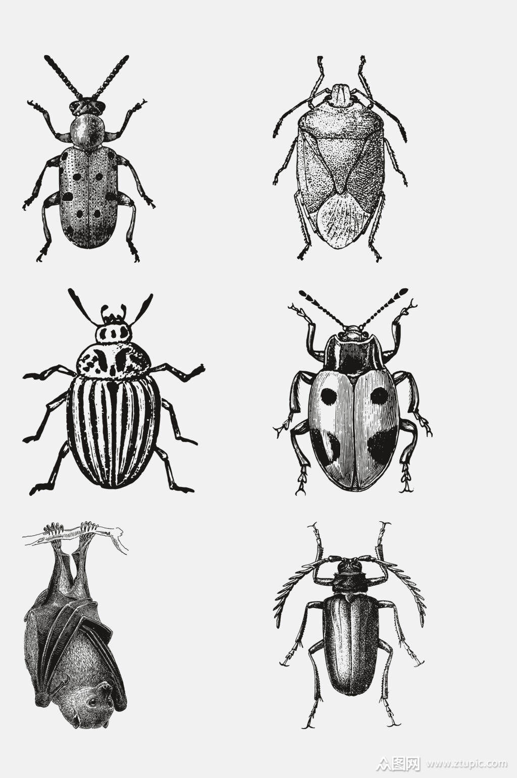 时尚野生动物昆虫手绘免抠元素素材