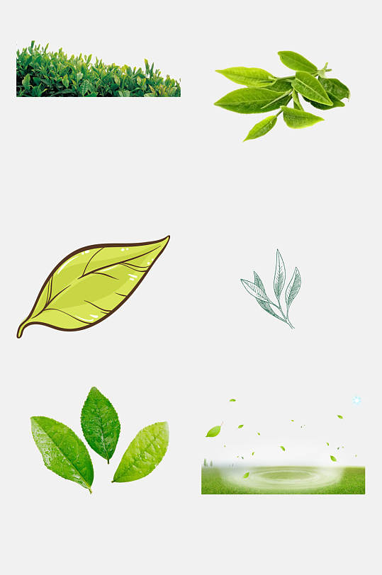 手绘水彩茶叶免抠元素
