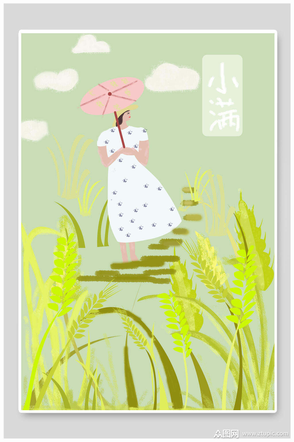 传统二十四节气小满小满节气插画