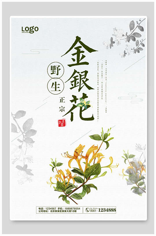 金银花中药挂画展板海报