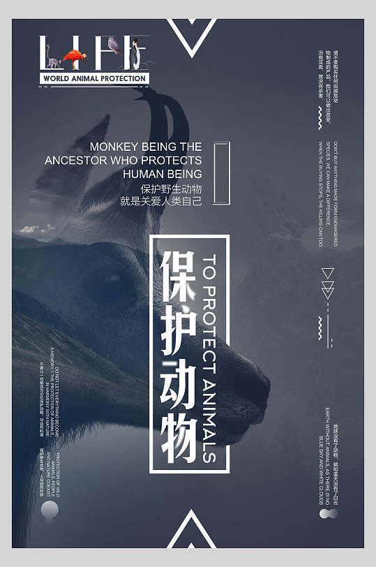 保护动物公益宣传海报