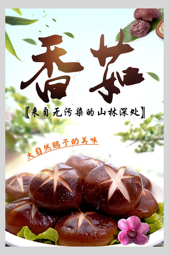 大自然蘑菇香菇食材促销海报