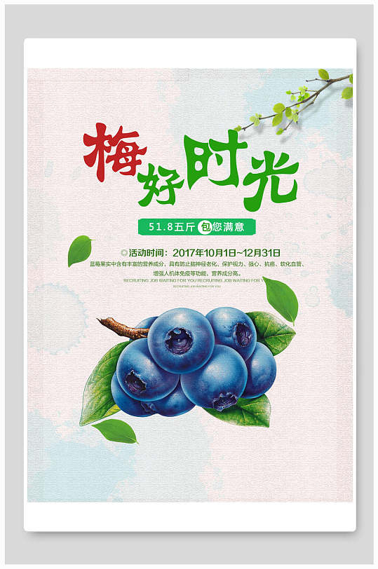 梅好时光新鲜营养蓝莓海报