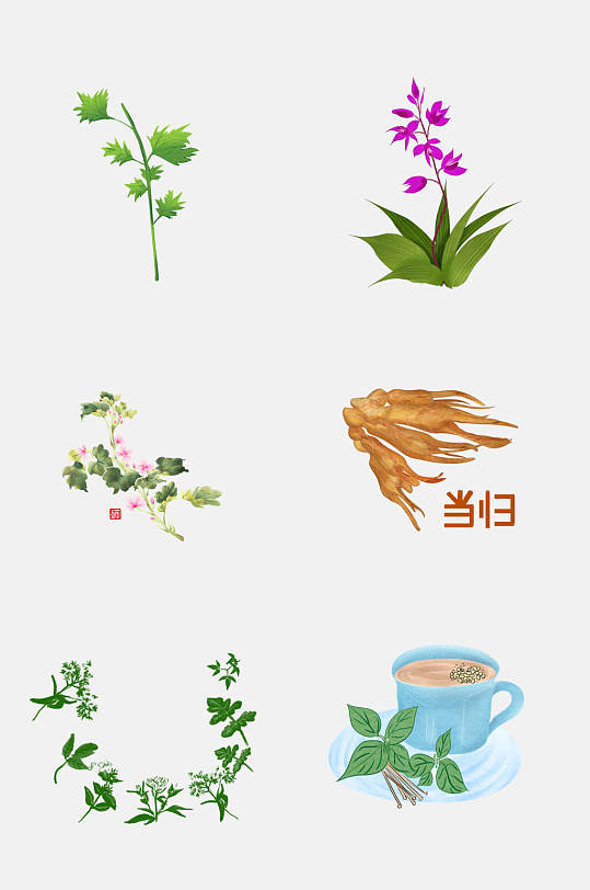 中药彩绘草本植物免抠素材