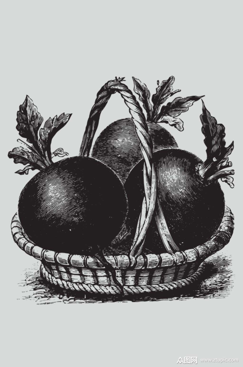 篮子黑色叶子植物蔬菜素描矢量素材素材