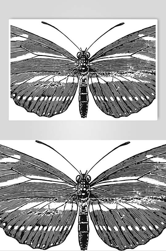 蝴蝶黑色简约动物素描手绘矢量素材