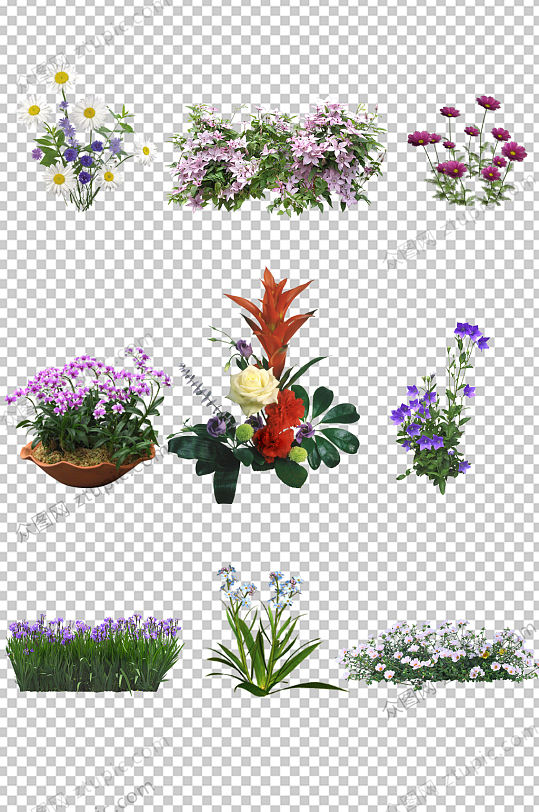 写实花朵免抠素材