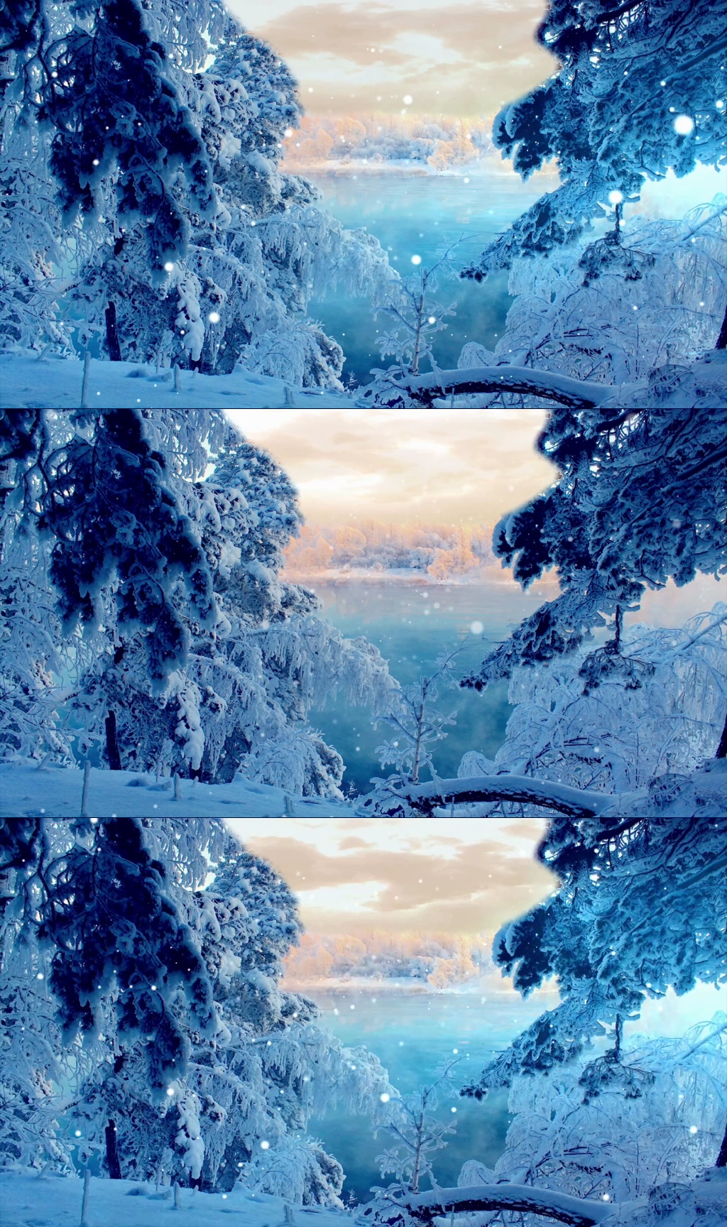 唯美浪漫雪景雪花飘落雪松