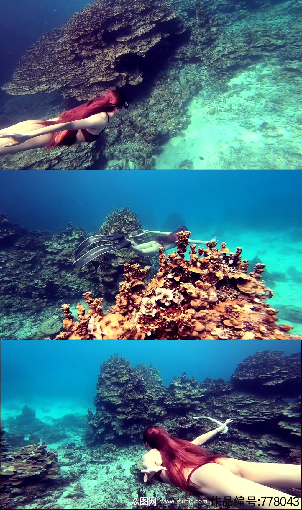 深海潜水唯美大自然风光风景自媒体实拍