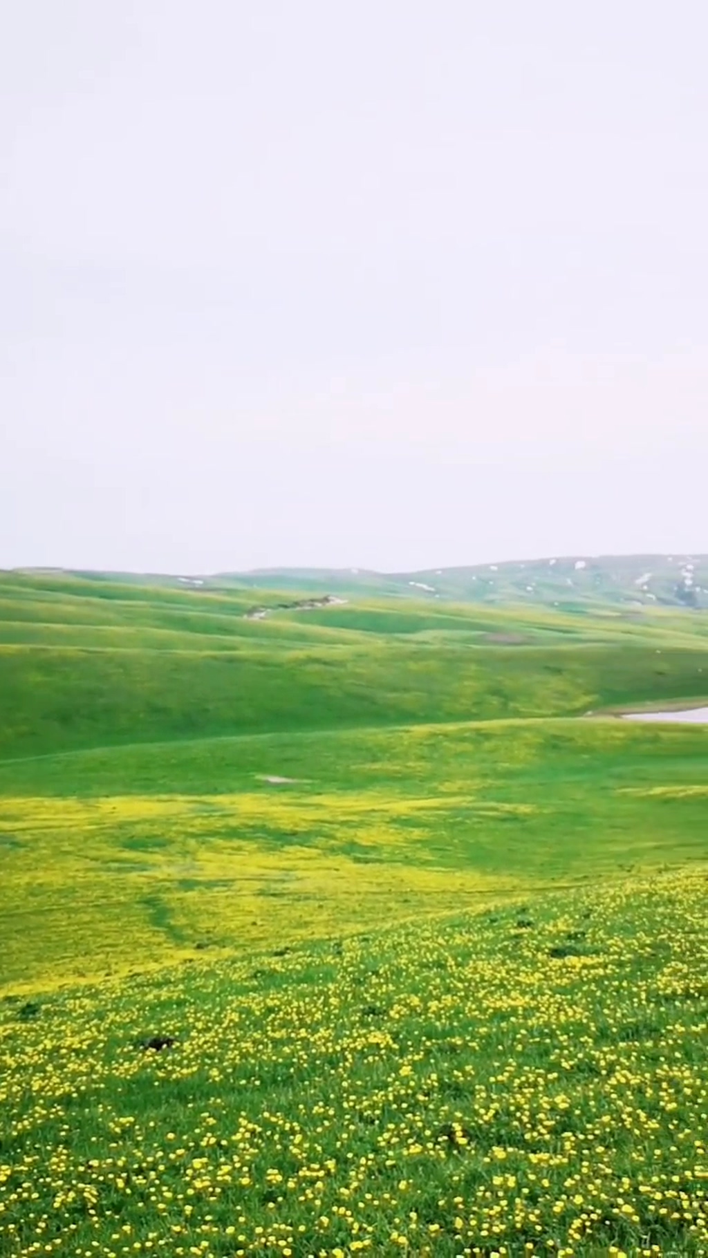 草原大地唯美大自然风光风景自媒体实拍