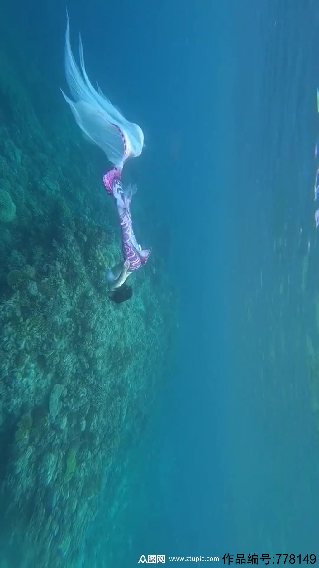深海潜水唯美大自然风光风景自媒体实拍