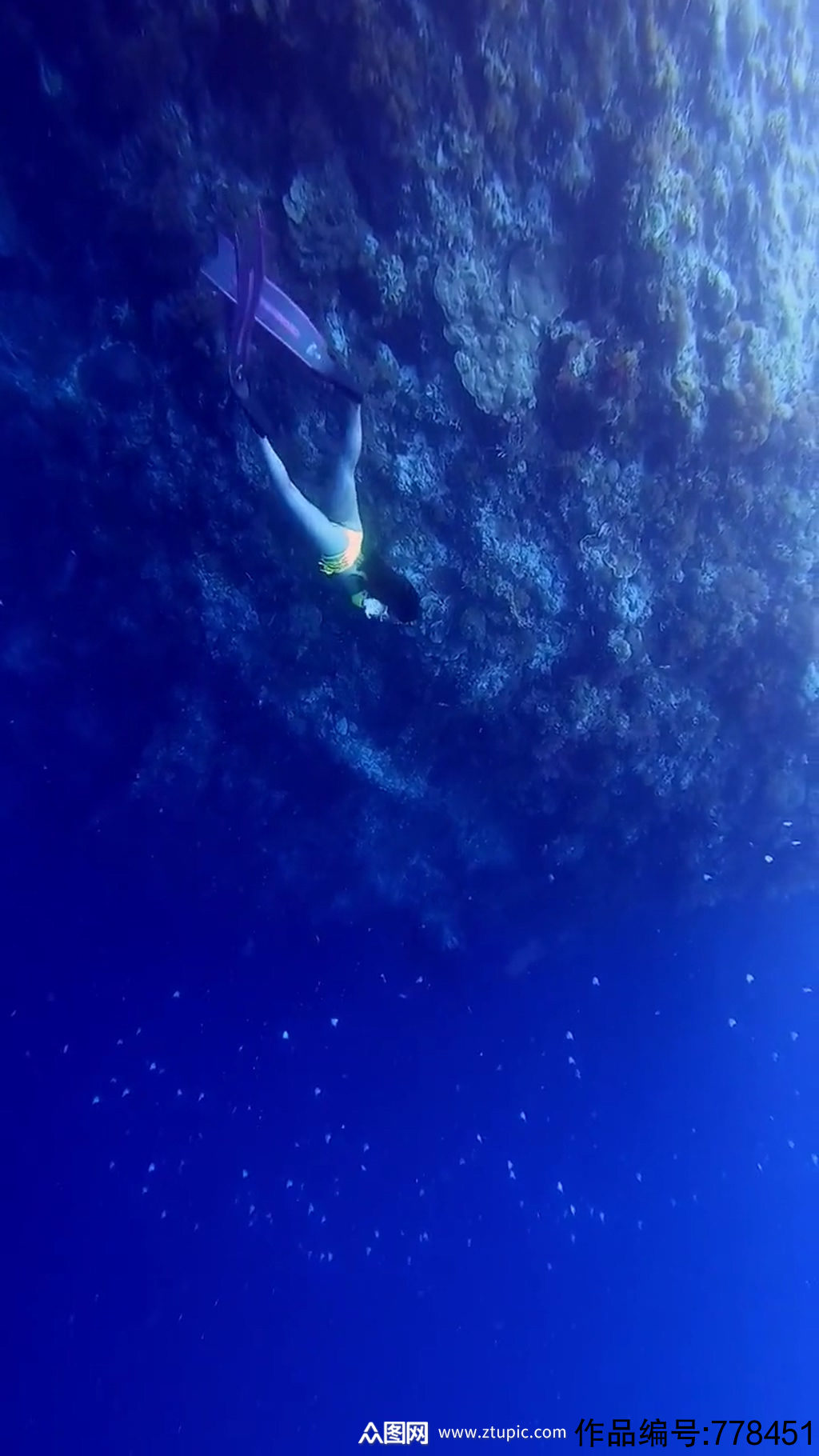 蓝色深海潜水唯美大自然风光风景自媒体实拍