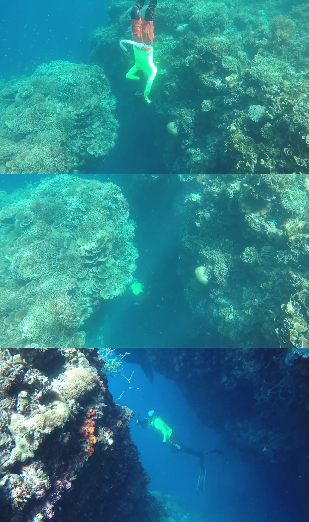 潜水深海唯美大自然风光风景自媒体实拍