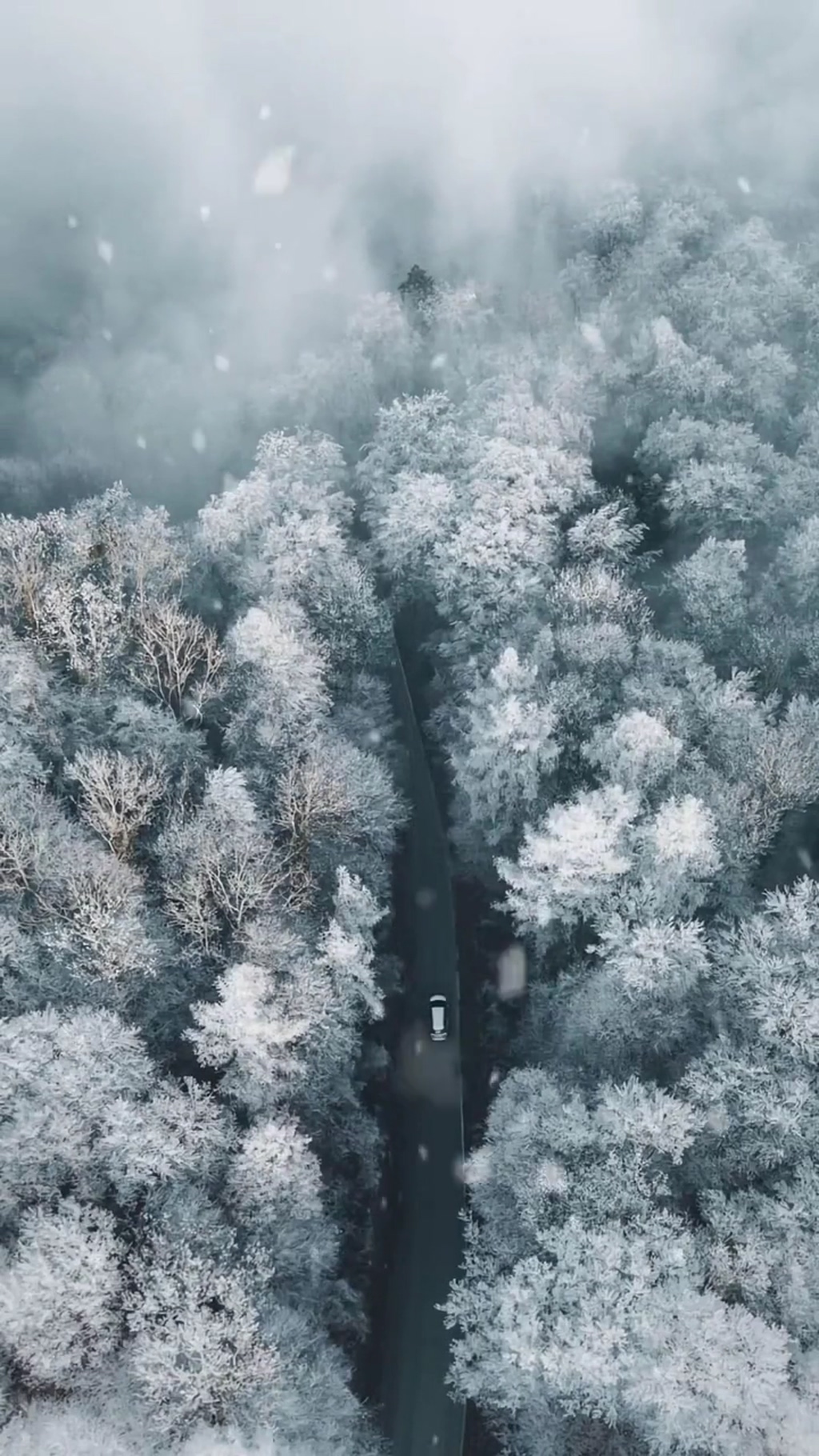 冬季雪景乡村唯美自然风光实拍