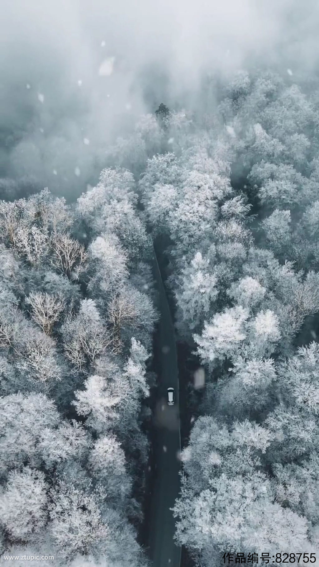 冬季雪景乡村唯美自然风光实拍