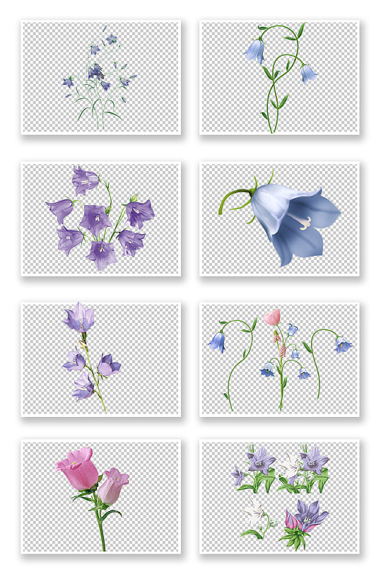 免抠插画鲜花图片-免抠插画鲜花素材下载-众图网