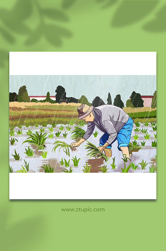 十二节气芒种春耕插秧谷雨插画素材