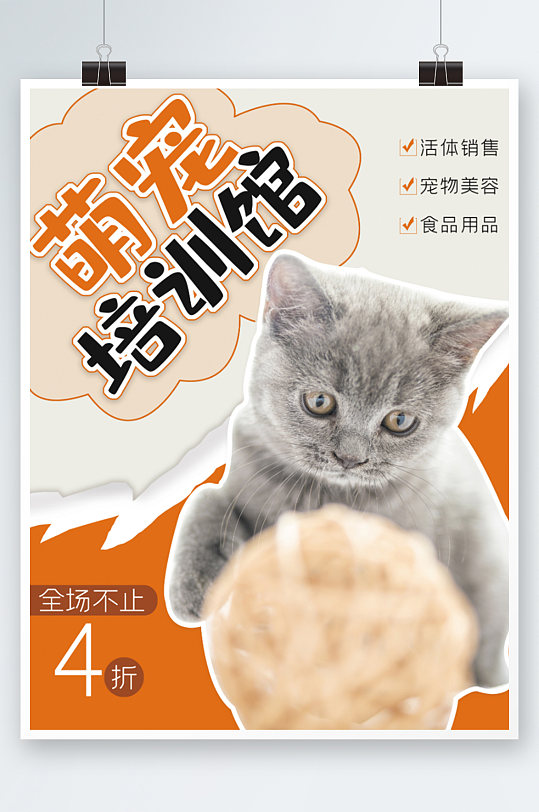 宠物训练行为纠正宣传海报卡通可爱猫咪