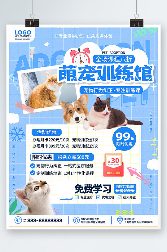 原创清新简约宠物训练行为纠正宣传海报蓝色
