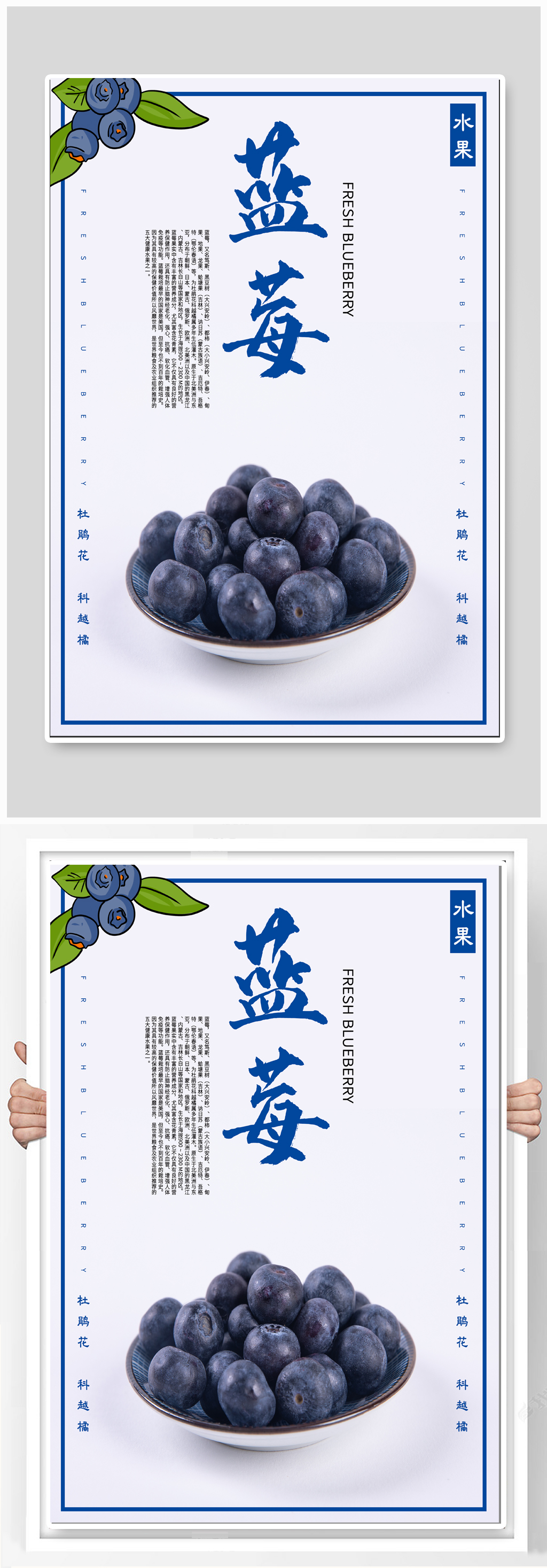 蓝莓水果促销海报