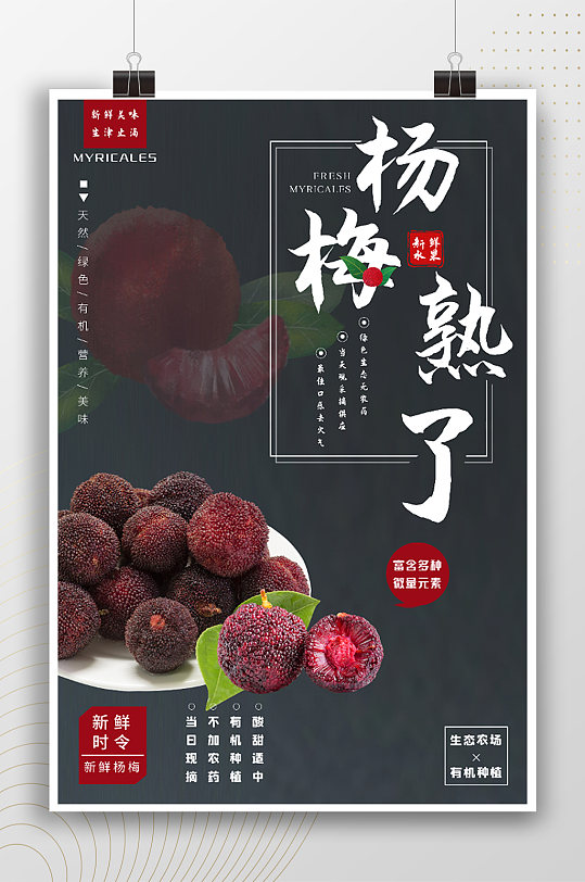 杨梅熟了简约水果介绍海报