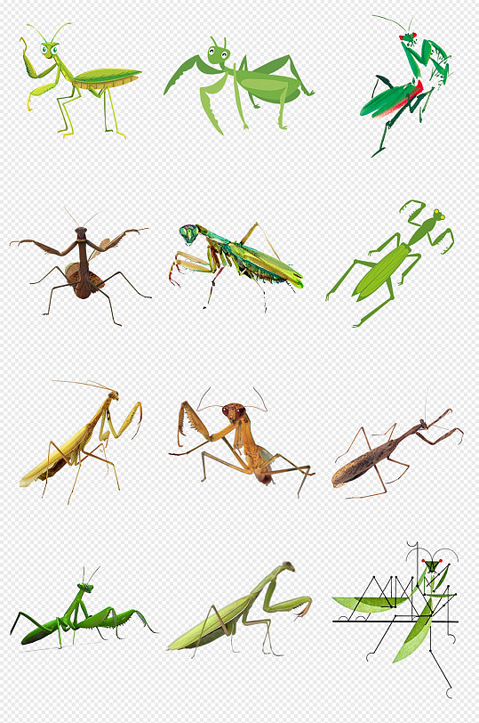 金螳螂名片图片-金螳螂名片设计素材-金螳螂名片模板下载-众图网