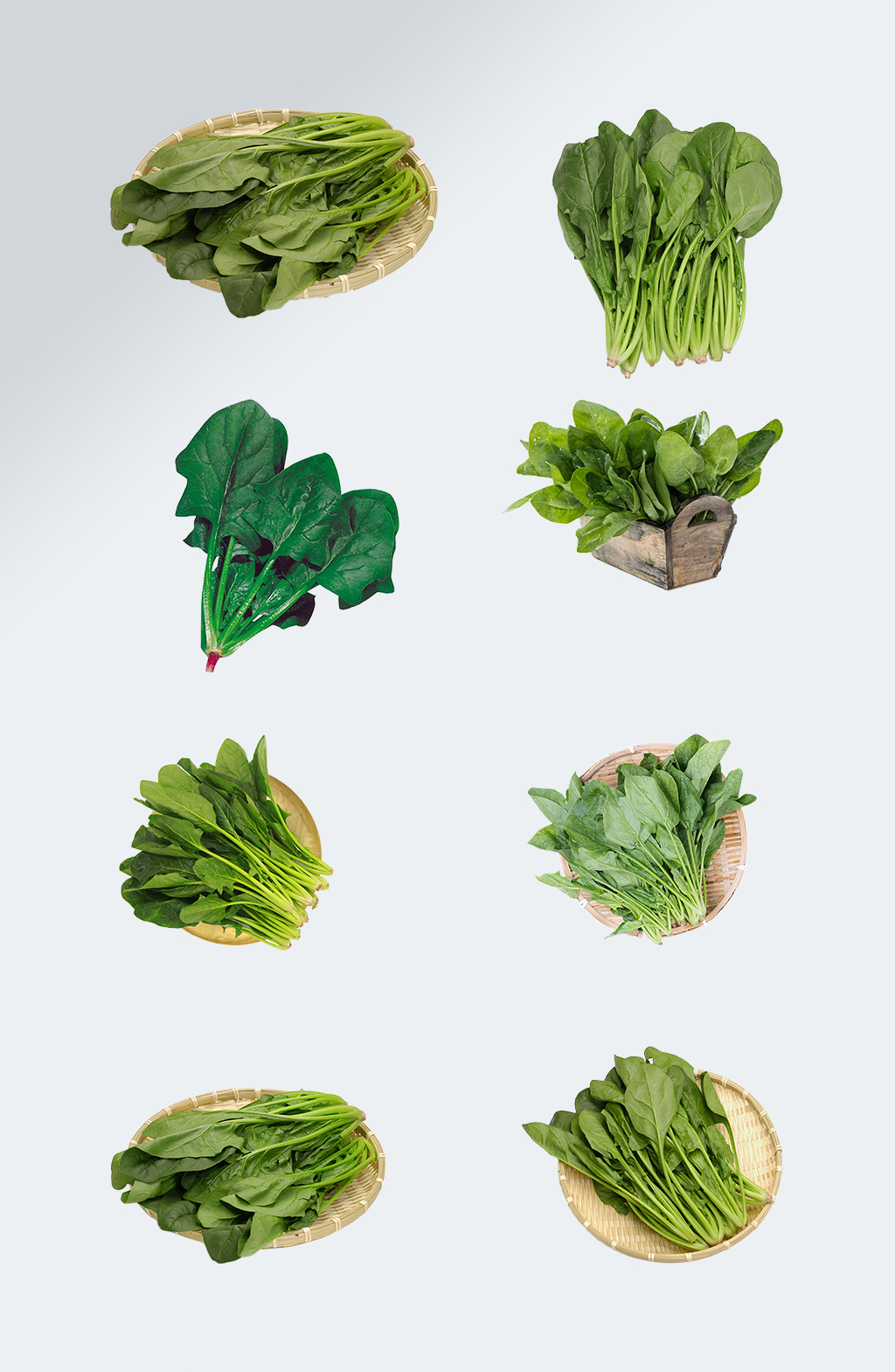 绿色蔬菜菠菜元素素材
