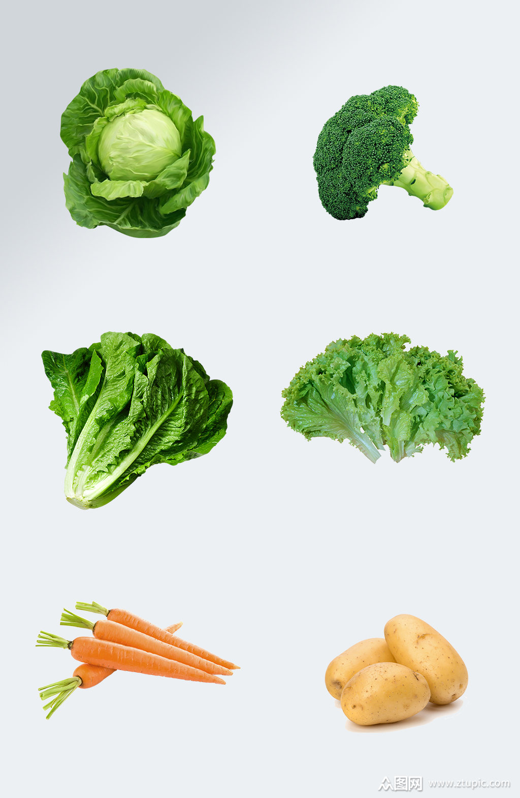 绿色蔬菜新鲜菠菜素材素材