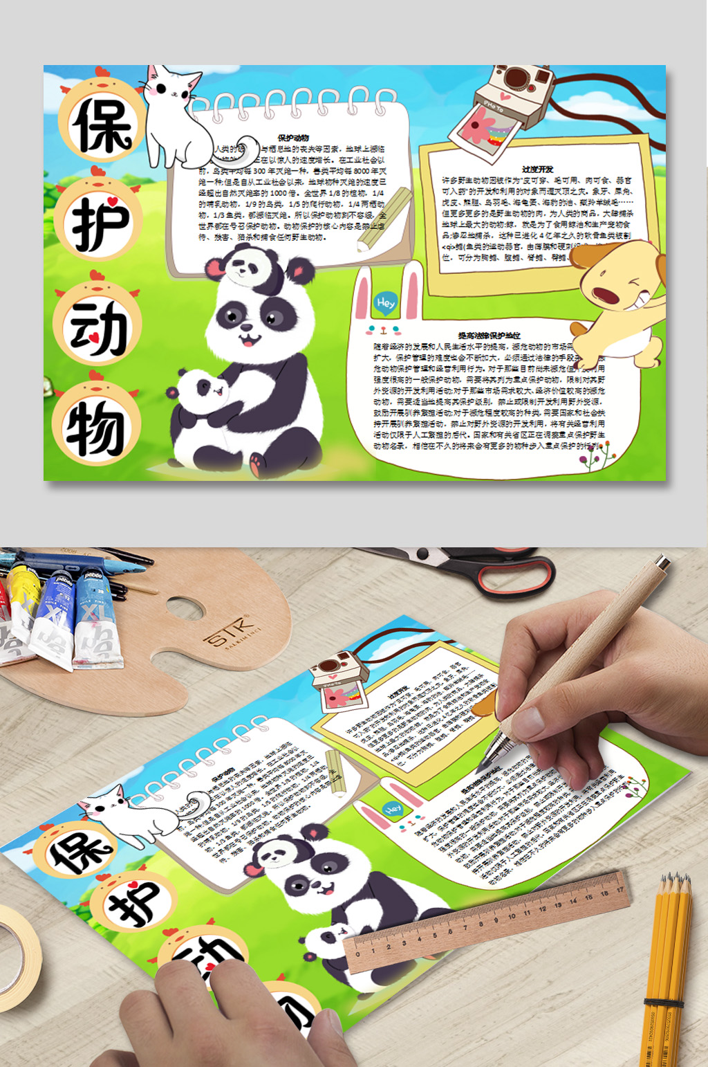 保护动物word小报