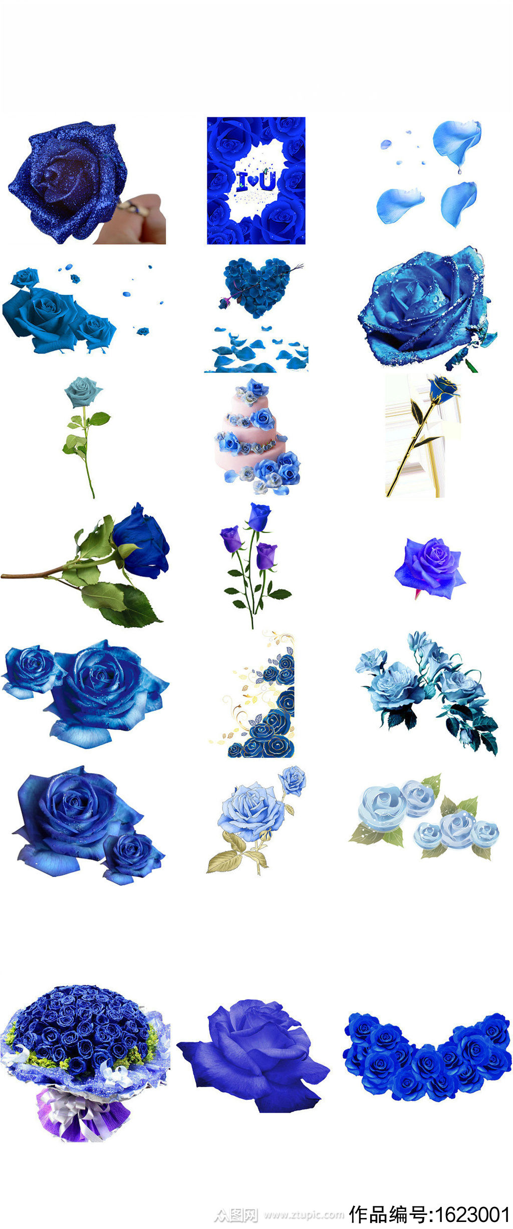 蓝色玫瑰花图片素材-编号31065349-图行天下