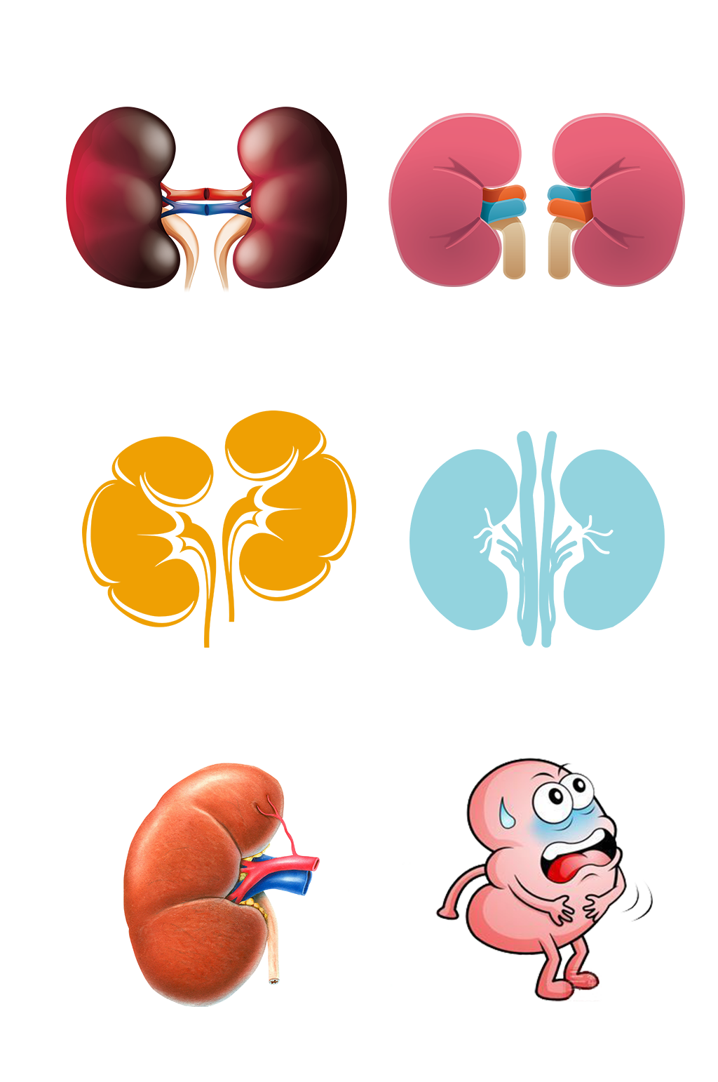 人体五脏手绘肾脏示意图免抠元素