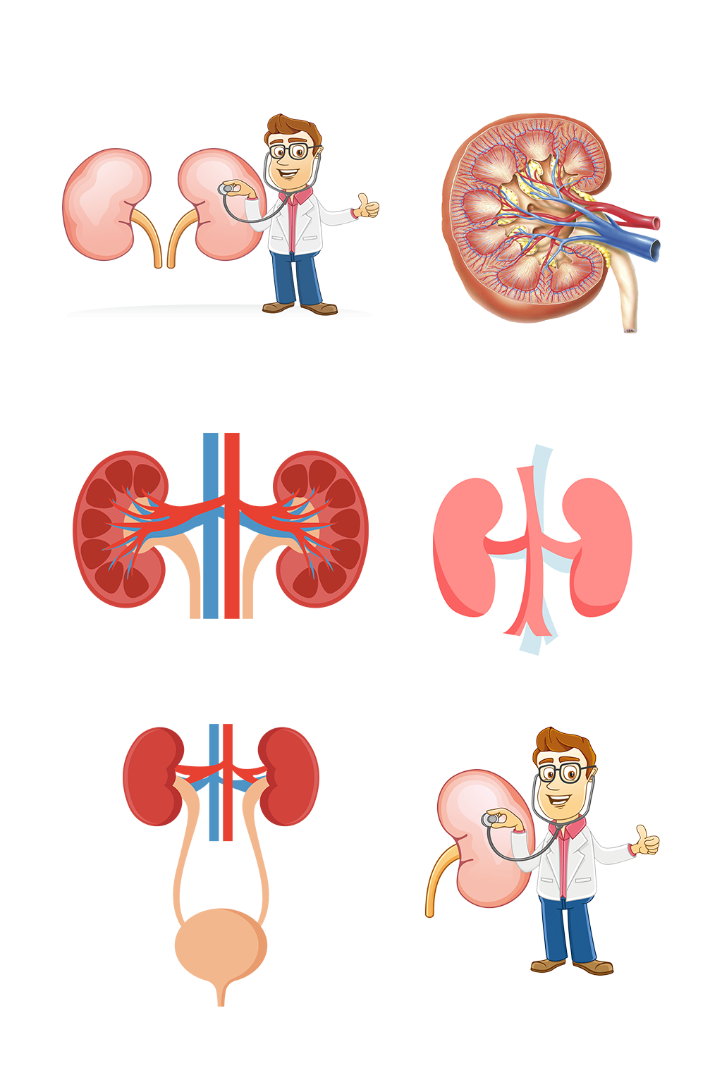 人体医疗五脏手绘肾脏示意图免抠元素