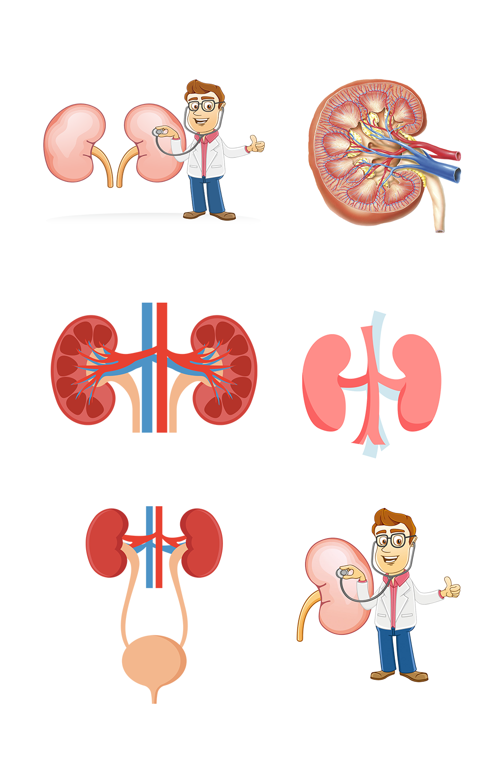 人体医疗五脏手绘肾脏示意图免抠元素